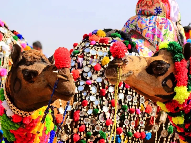 Rajasthan Tour Packages