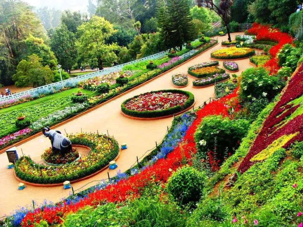 7 Nights 8 Days Ooty Tour
