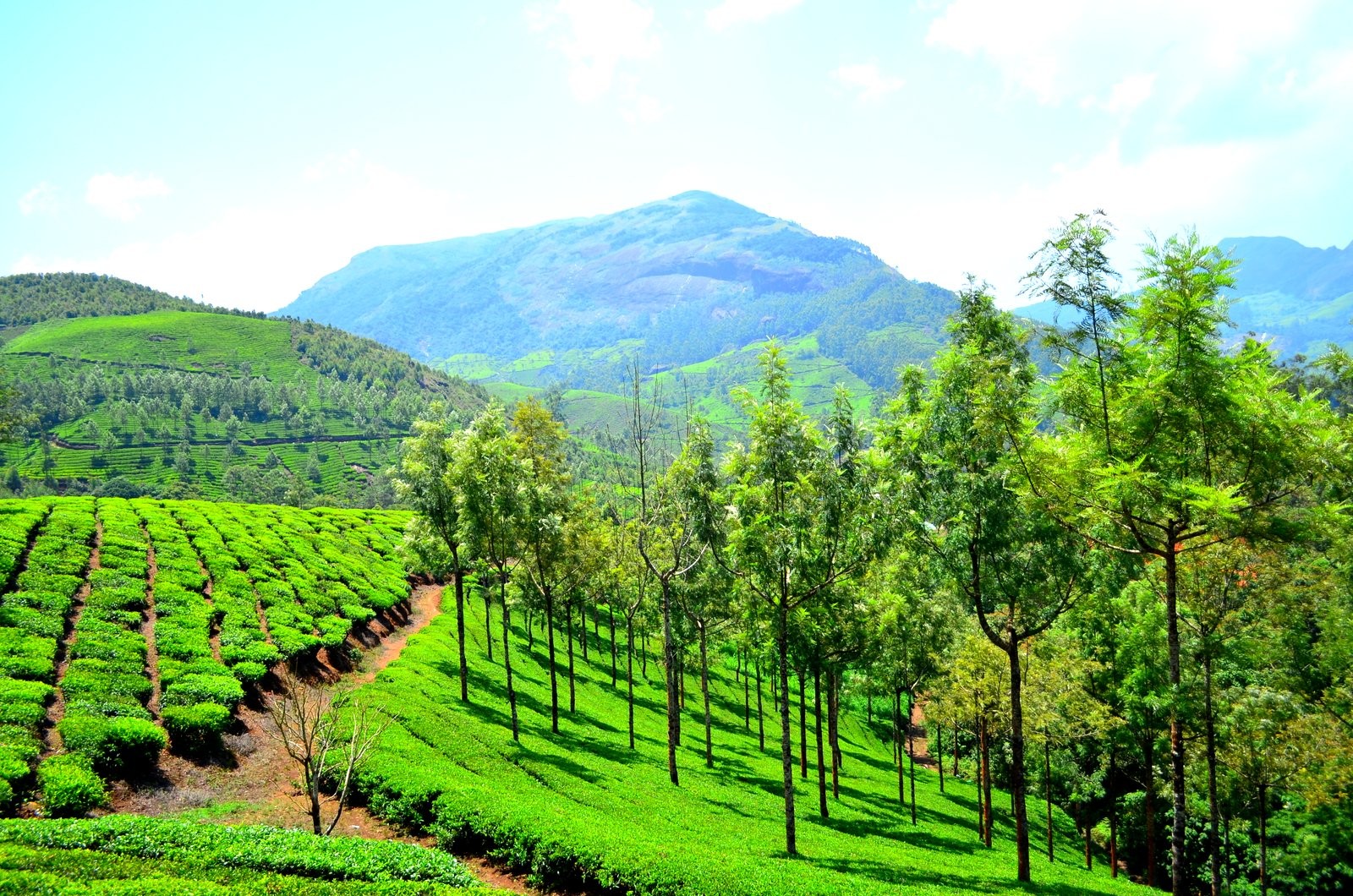 04 Night 05 Days Kerala Tour Packages